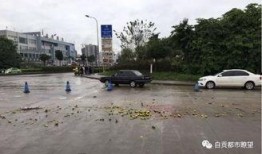 杞县圉镇车祸最新爆料新闻