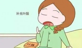 最新孕期爆料大全,最新爆料大全精华汇总